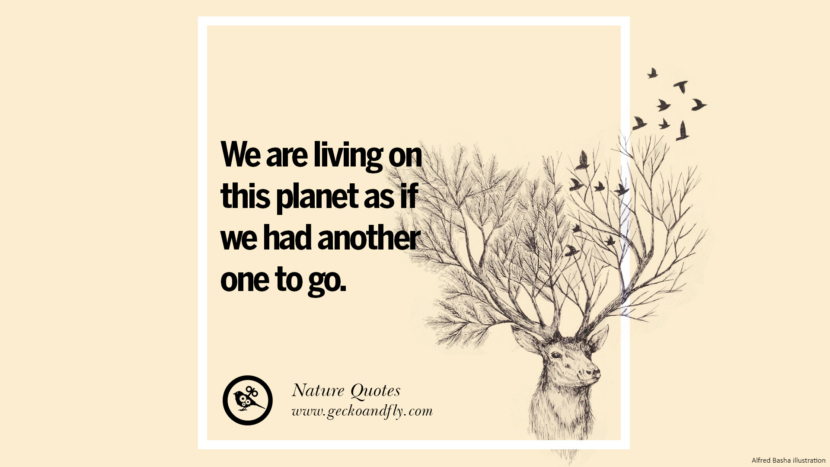 We are living on this planet as if they had another one to go.