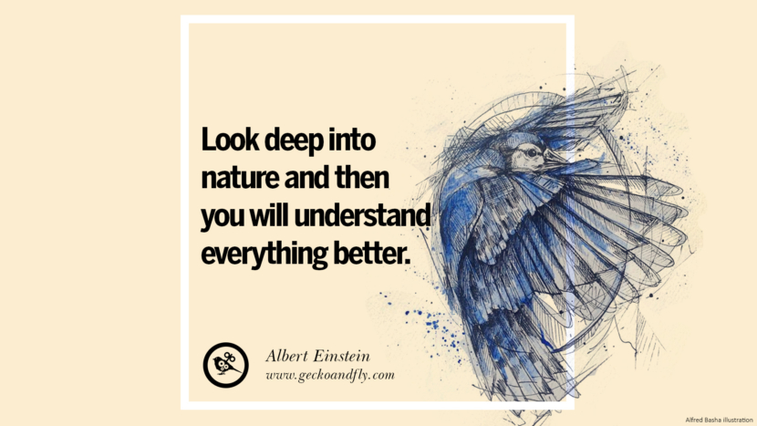 Look deep into nature and then you will understand everything better. - Albert Einstein