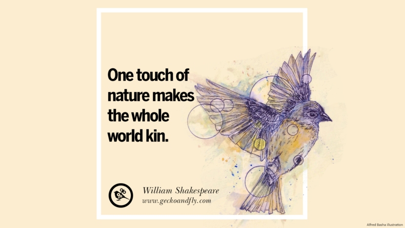 One touch of nature makes the whole world kin. - William Shakespeare