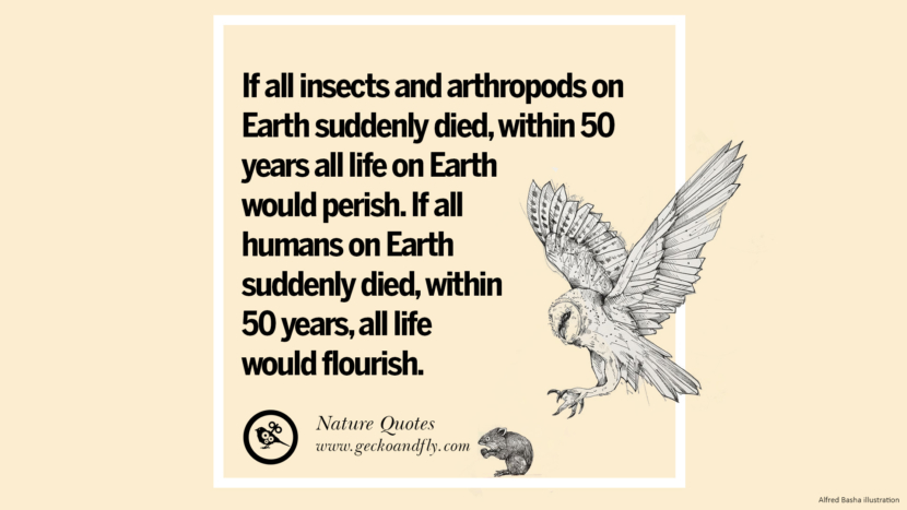 If all insects and arthropods on Earth suddenly died, within 50 years all life on Earth would perish. If all humans on Earth suddenly died, within 50 years, all life would flourish.
