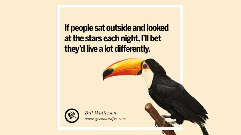 If people sat outside and looked at the stars each night, I'll bet they'd live a lot differently.