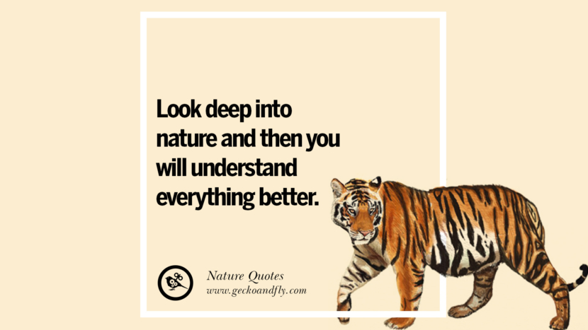 Look deep into nature and then you will understand everything better