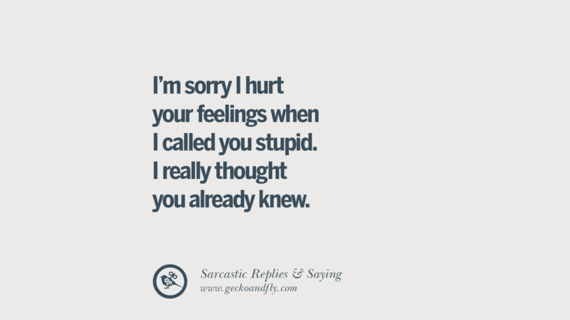 I'm sorry I hurt your feelings when I called you stupid. I really thought you already knew.