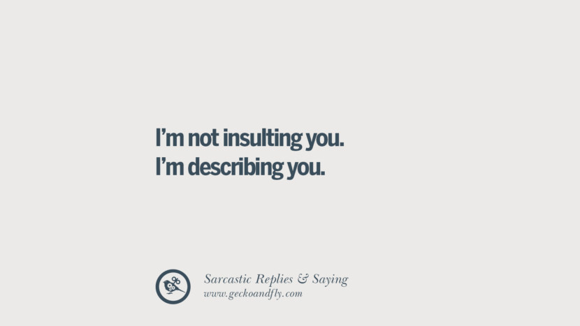 I'm not insulting you. I'm describing you.